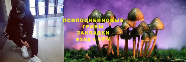 дурь Наволоки