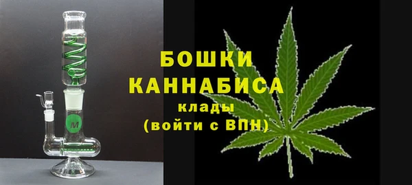 шишки Михайловка