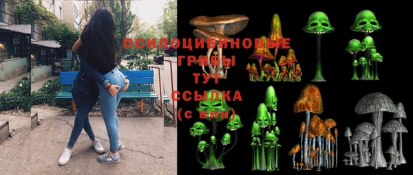 дживик Михайлов