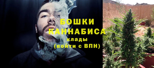 мдпв Болохово