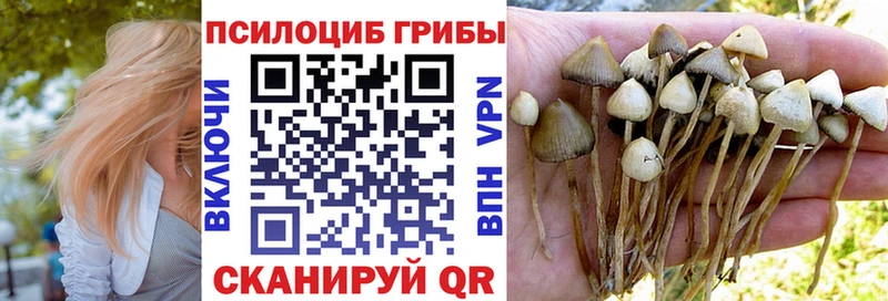 даркнет как зайти  KRAKEN сайт  Курильск  Псилоцибиновые грибы Cubensis 